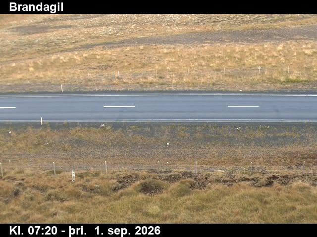 brandagil_2-1788254792.jpg