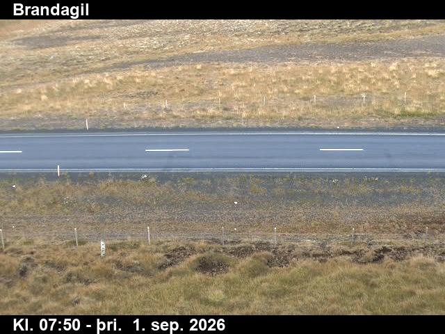 brandagil_2-1788256854.jpg