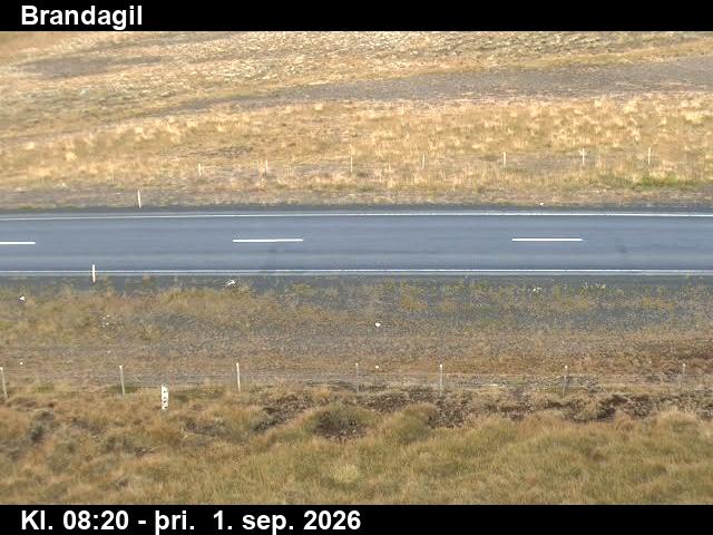 brandagil_2-1788258494.jpg