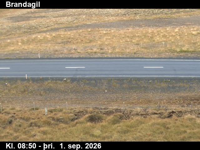 brandagil_2-1788260587.jpg