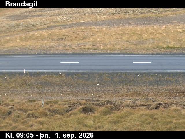 brandagil_2-1788260795.jpg