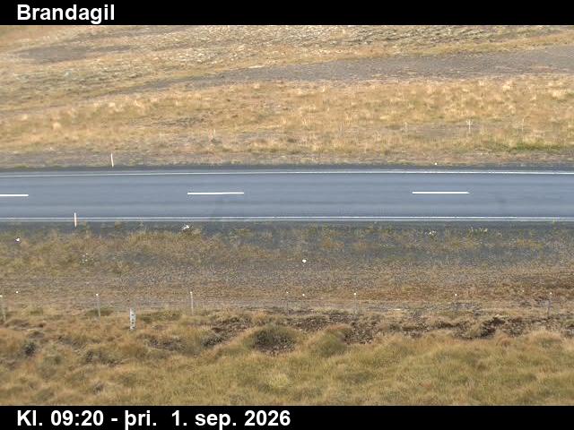 brandagil_2-1788261936.jpg
