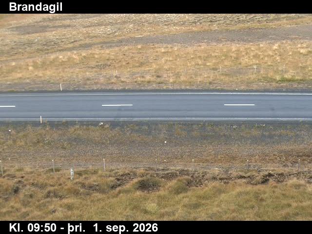 brandagil_2-1788264096.jpg