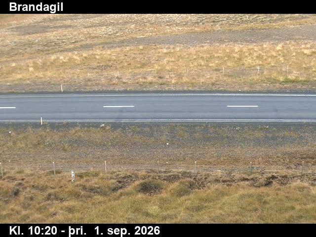 brandagil_2-1788265567.jpg
