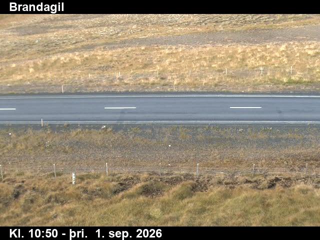 brandagil_2-1788267723.jpg