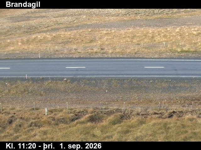 brandagil_2-1788269128.jpg