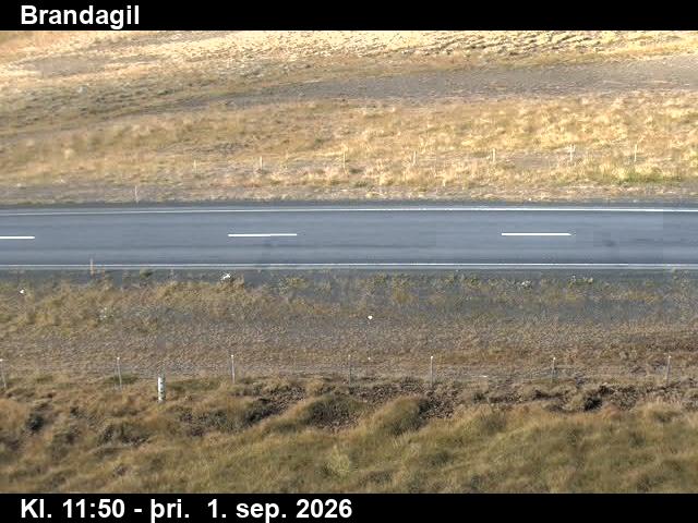 brandagil_2-1788271279.jpg
