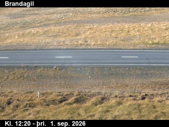 brandagil_2-1788272749.jpg