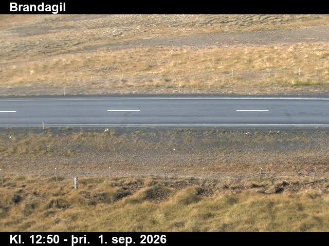 brandagil_2-1788274844.jpg