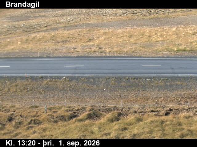 brandagil_2-1788276348.jpg