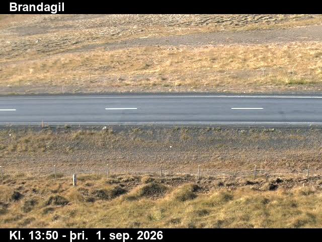 brandagil_2-1788278499.jpg