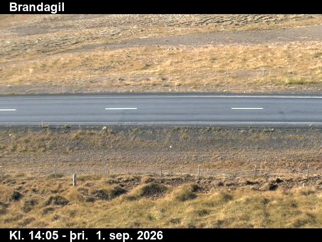 brandagil_2-1788278765.jpg