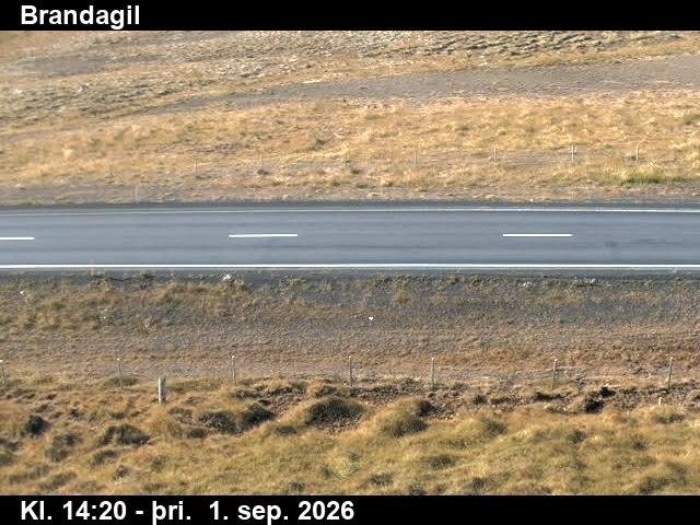 brandagil_2-1788279971.jpg