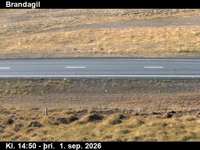 brandagil_2-1788282080.jpg