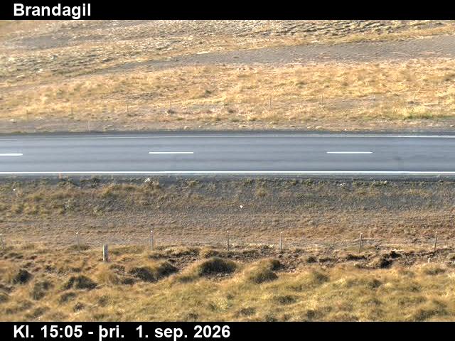 brandagil_2-1788282359.jpg