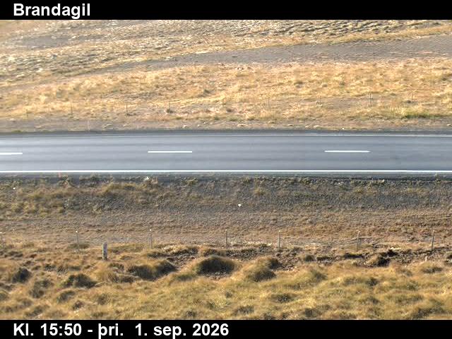brandagil_2-1788285709.jpg