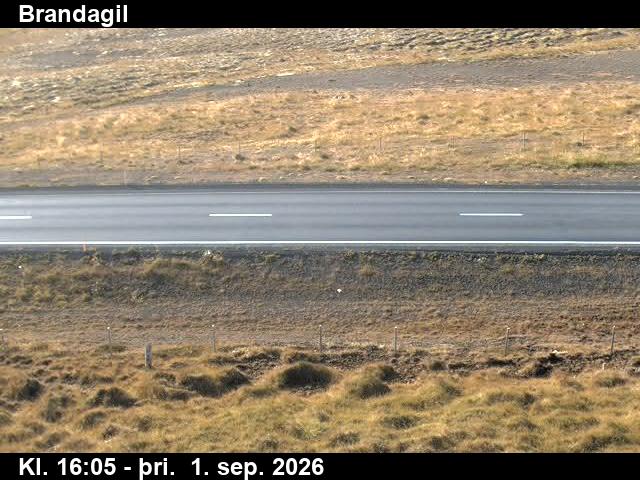 brandagil_2-1788285942.jpg