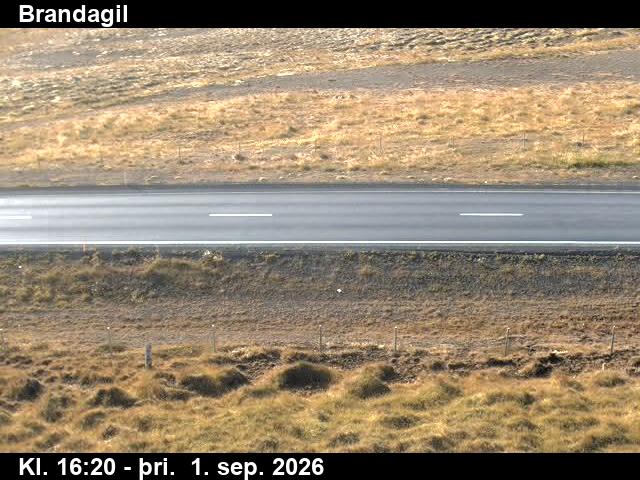 brandagil_2-1788287172.jpg