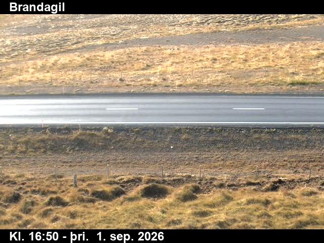 brandagil_2-1788289268.jpg