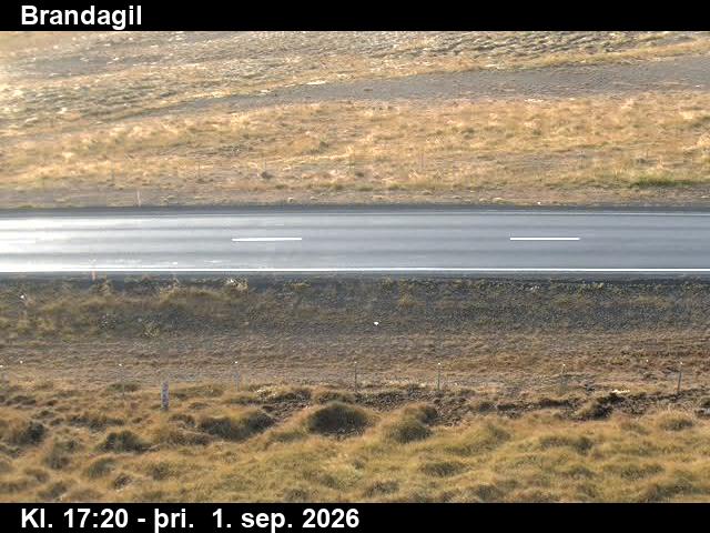 brandagil_2-1788290759.jpg