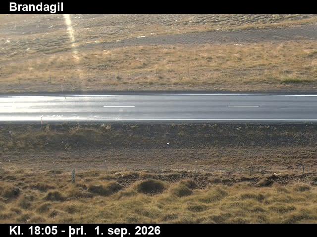 brandagil_2-1788293197.jpg