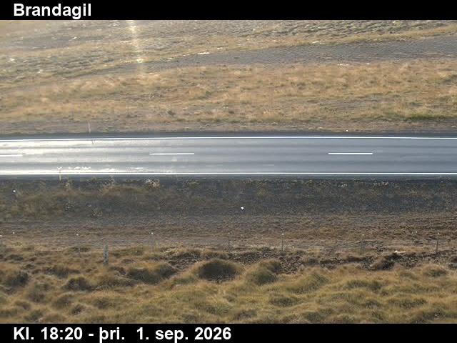 brandagil_2-1788294354.jpg