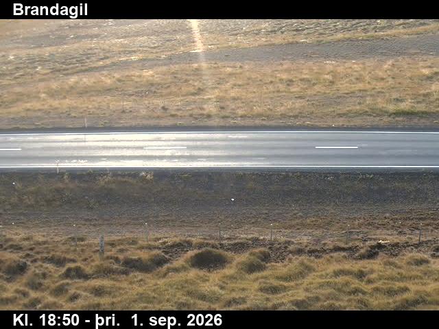brandagil_2-1788296463.jpg