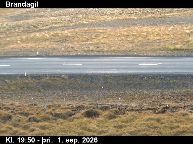 brandagil_2-1788300072.jpg