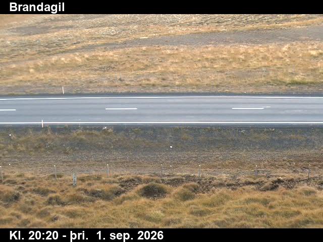 brandagil_2-1788301578.jpg