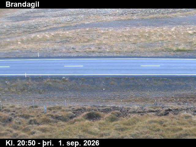 brandagil_2-1788303764.jpg