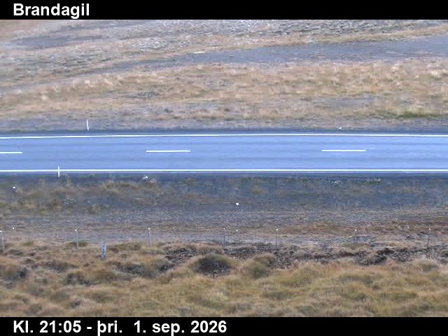 brandagil_2-1788303942.jpg
