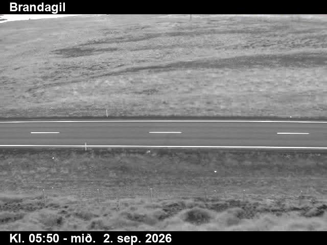 brandagil_2-1788336063.jpg
