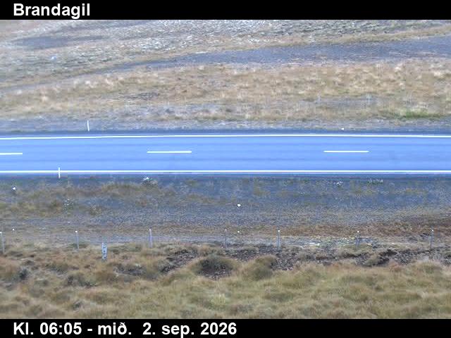 brandagil_2-1788336345.jpg