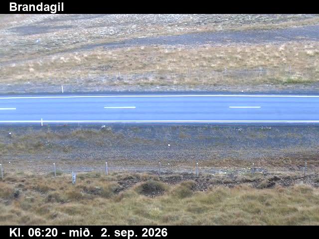 brandagil_2-1788337678.jpg