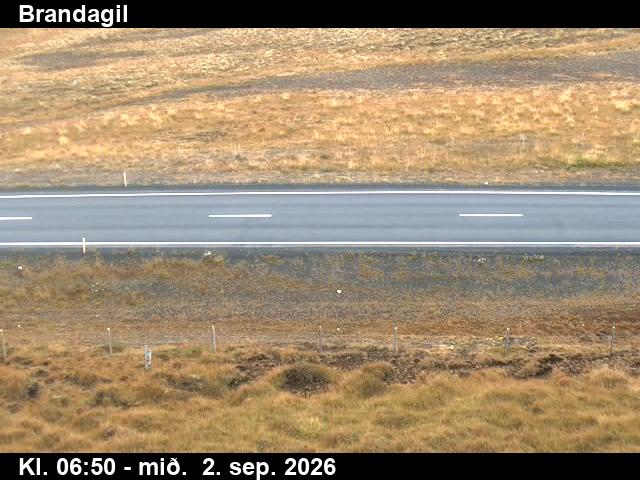 brandagil_2-1788339715.jpg