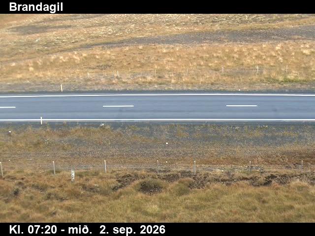 brandagil_2-1788341135.jpg