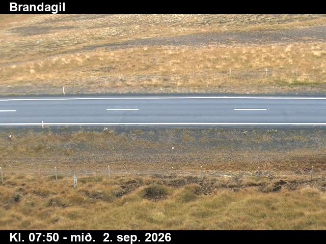 brandagil_2-1788343271.jpg