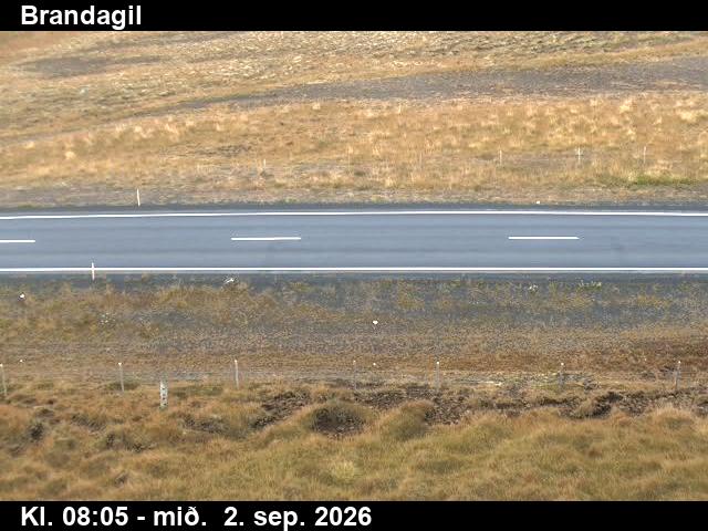 brandagil_2-1788343577.jpg