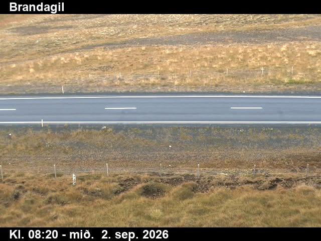 brandagil_2-1788344792.jpg