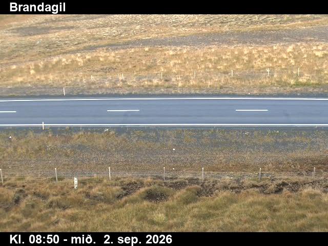 brandagil_2-1788346941.jpg