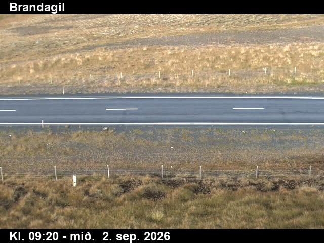 brandagil_2-1788348339.jpg