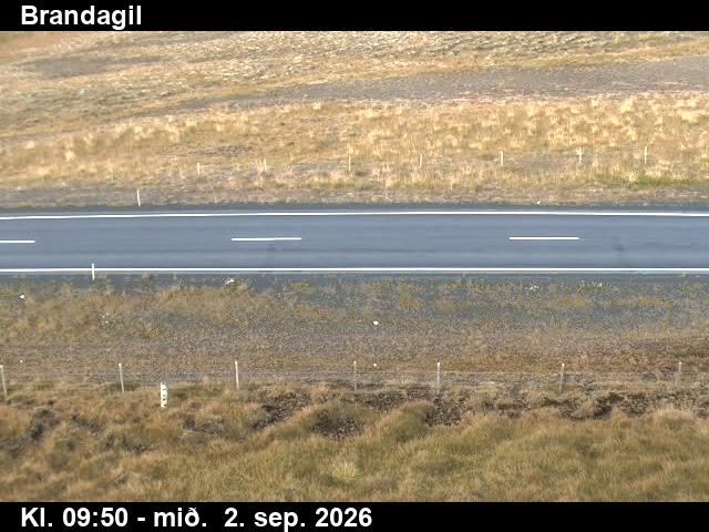 brandagil_2-1788350484.jpg