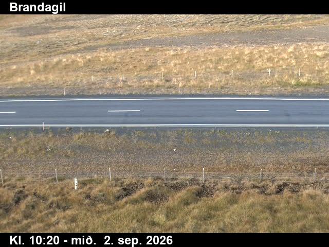 brandagil_2-1788351938.jpg