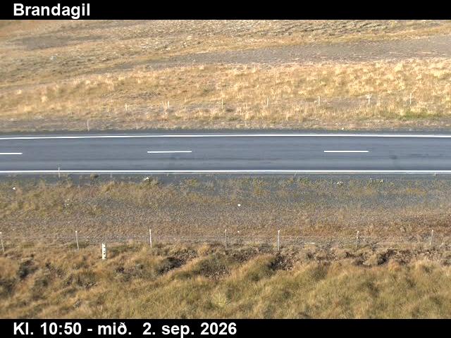 brandagil_2-1788354190.jpg