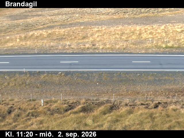 brandagil_2-1788355532.jpg