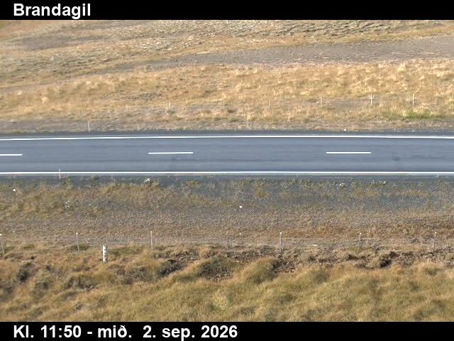 brandagil_2-1788357710.jpg