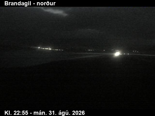 brandagil_3-1788224522.jpg
