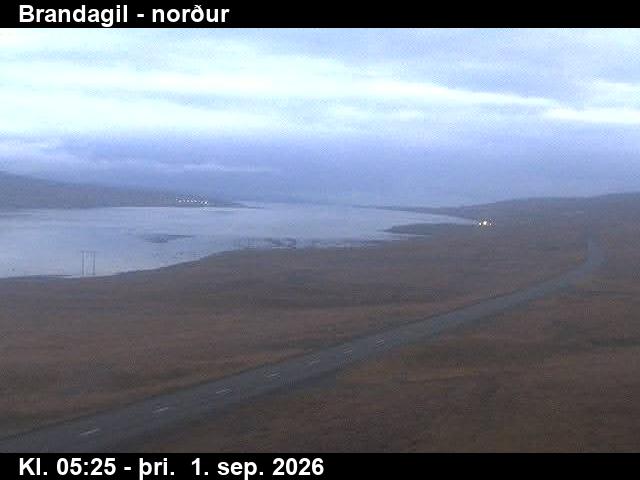 brandagil_3-1788247541.jpg