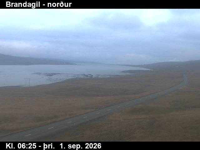 brandagil_3-1788251156.jpg