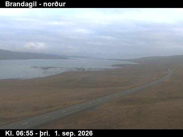 brandagil_3-1788253265.jpg